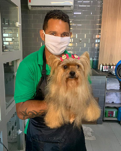 Cachorrinho Yorkshire se preparando para o Banho e Tosa maravilhoso no Salão Pet da Centervet Salvador